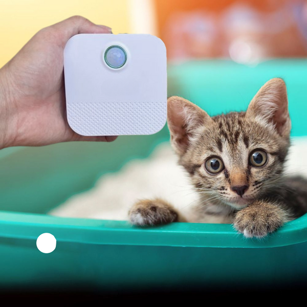 Cat Litter Box Smart Deodoriser